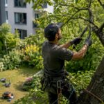 Fachgerechter Baumschnitt im Gemeinschaftsgarten der Wohnanlage